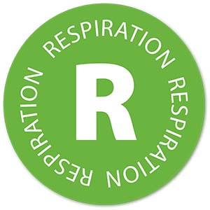 Respiration category image